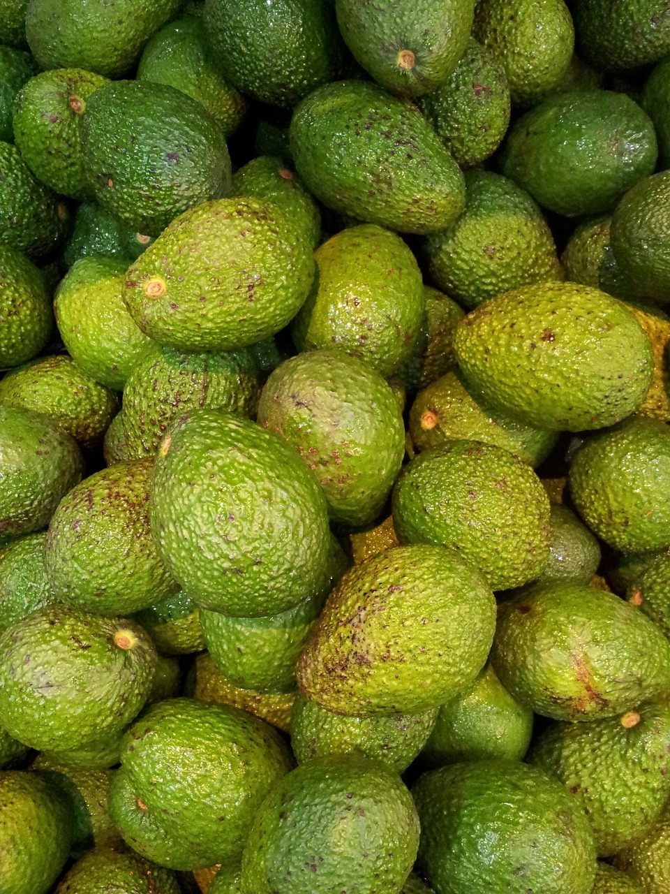 Avocadi maturi. Foto: pixabay