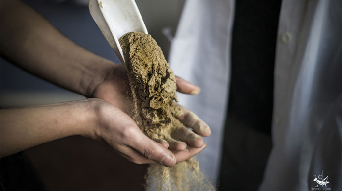 La farina di insetti può avere molti utilizzi