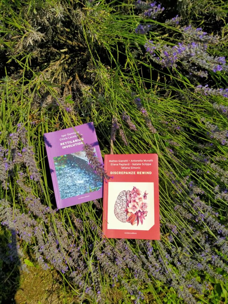 rettilarium involutione e discrepanze rewind