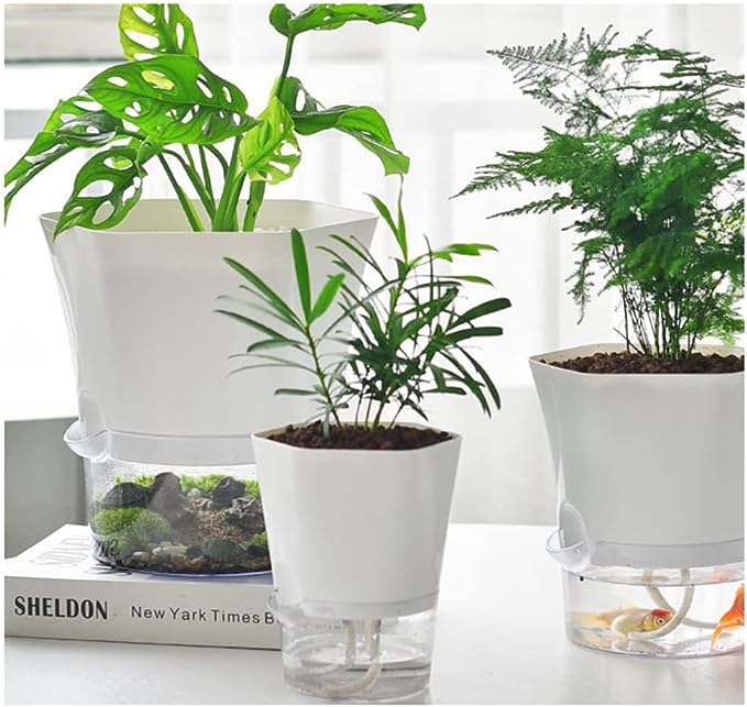 piante che si annaffiano da sole