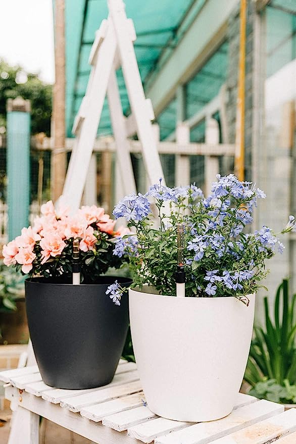 Prendersi cura delle piante domestiche durante le vacanze
