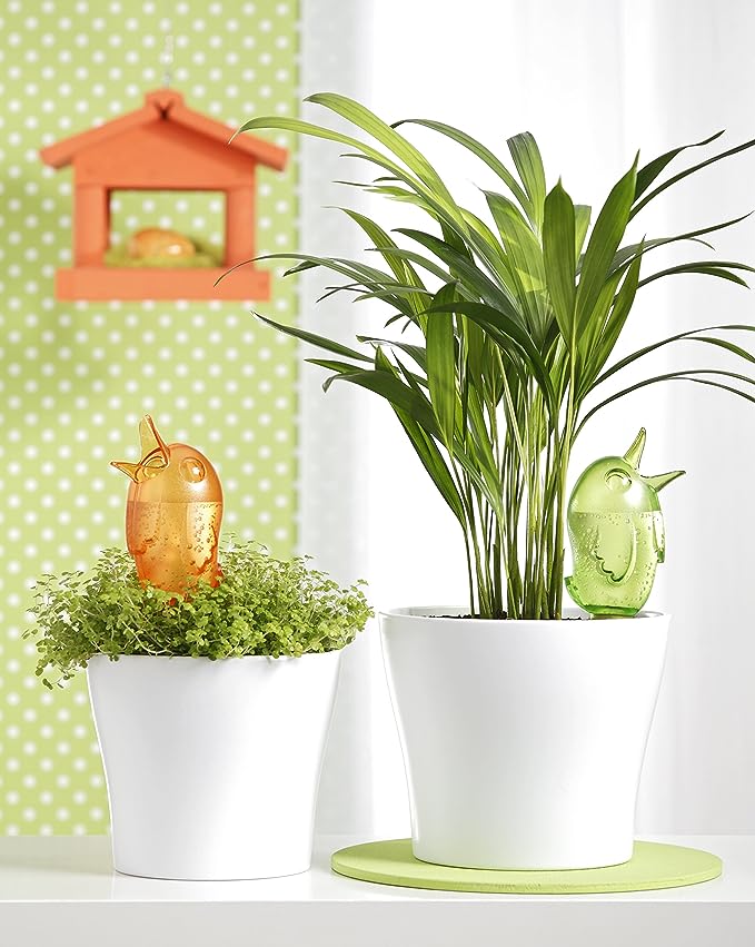 Prendersi cura delle piante domestiche durante le vacanze