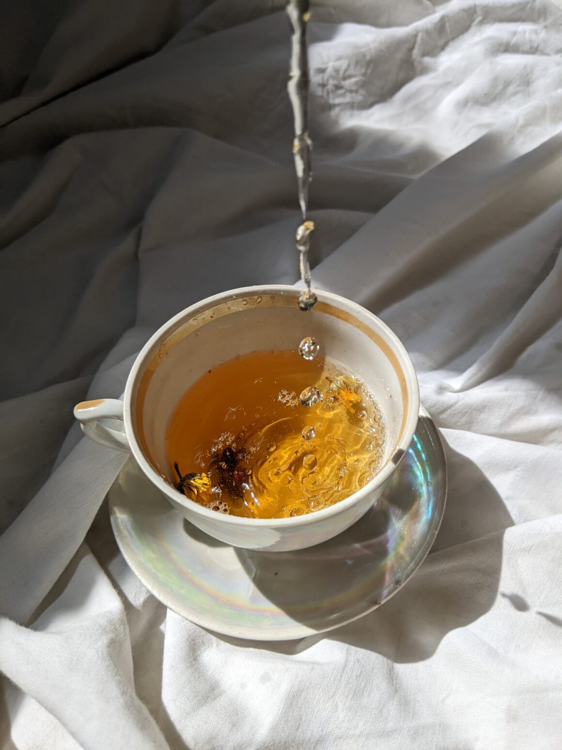 6 tè da includere nella tua routine quotidiana