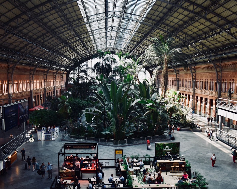 10. Giardino tropicale della stazione di Atocha
