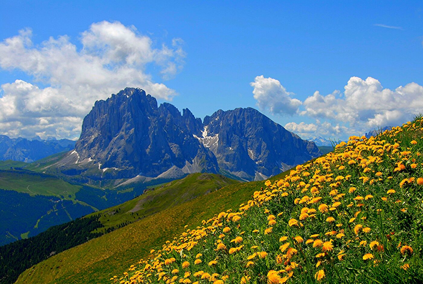 Montagne, un ecosistema da proteggere.