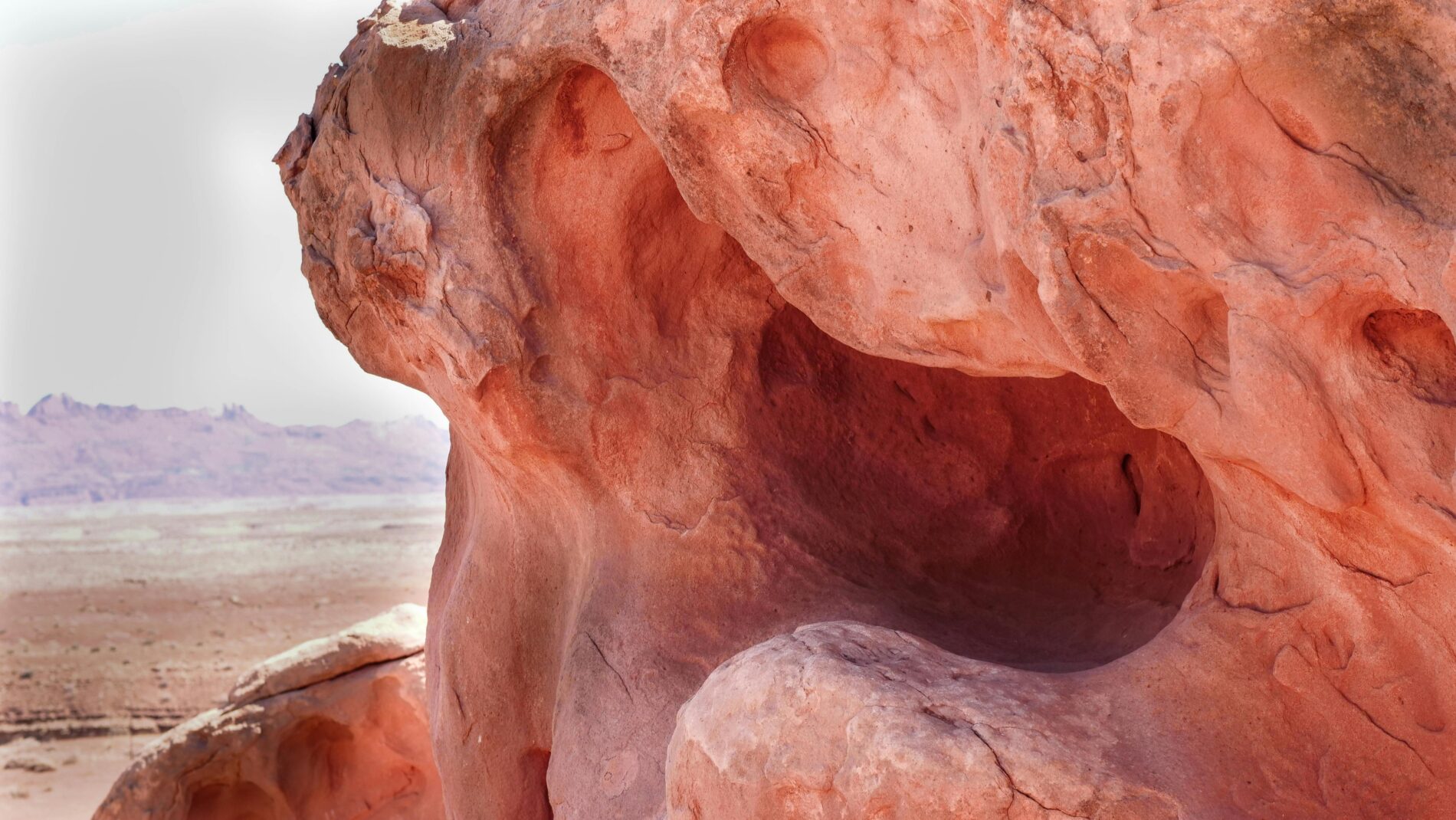 Peach Fuzz è il colore dell'anno 2024