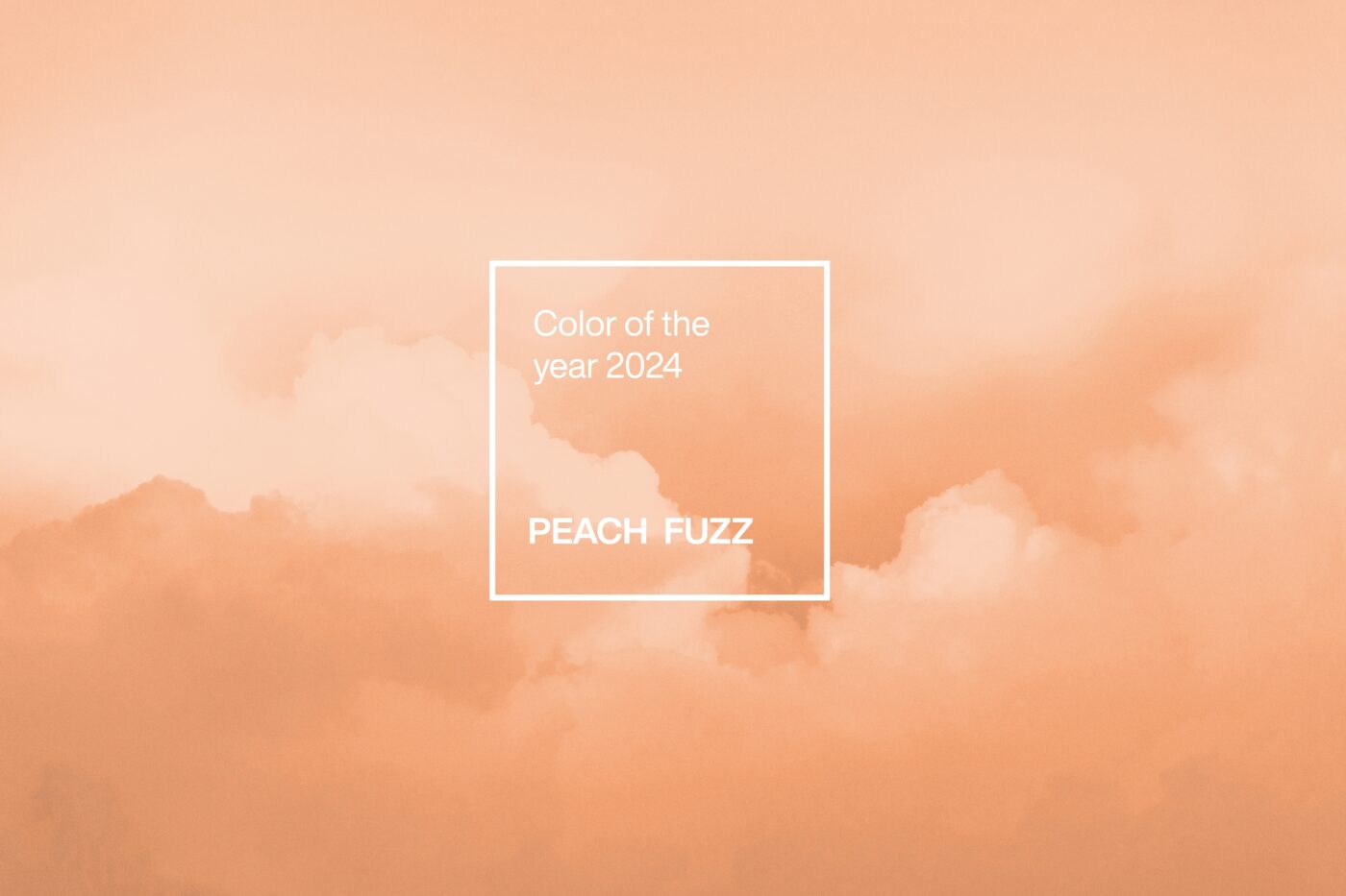 Peach Fuzz è il colore dell'anno 2024