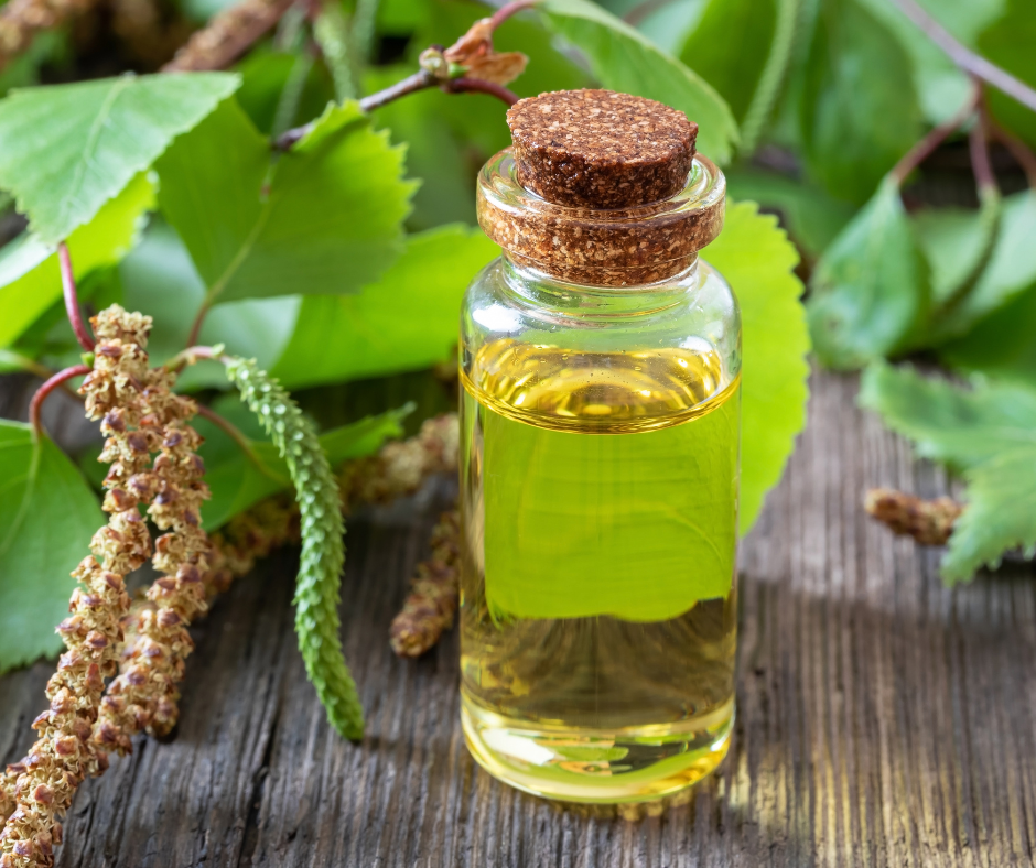 L'olio di betulla, l'ingrediente per combattere la cellulite