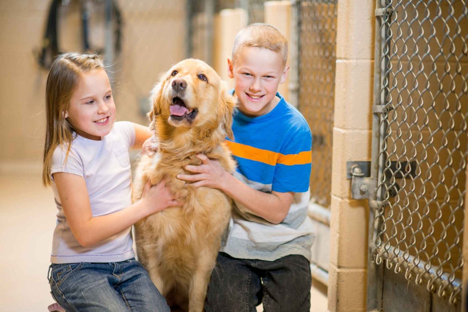 animali e bambini bisogni diversi